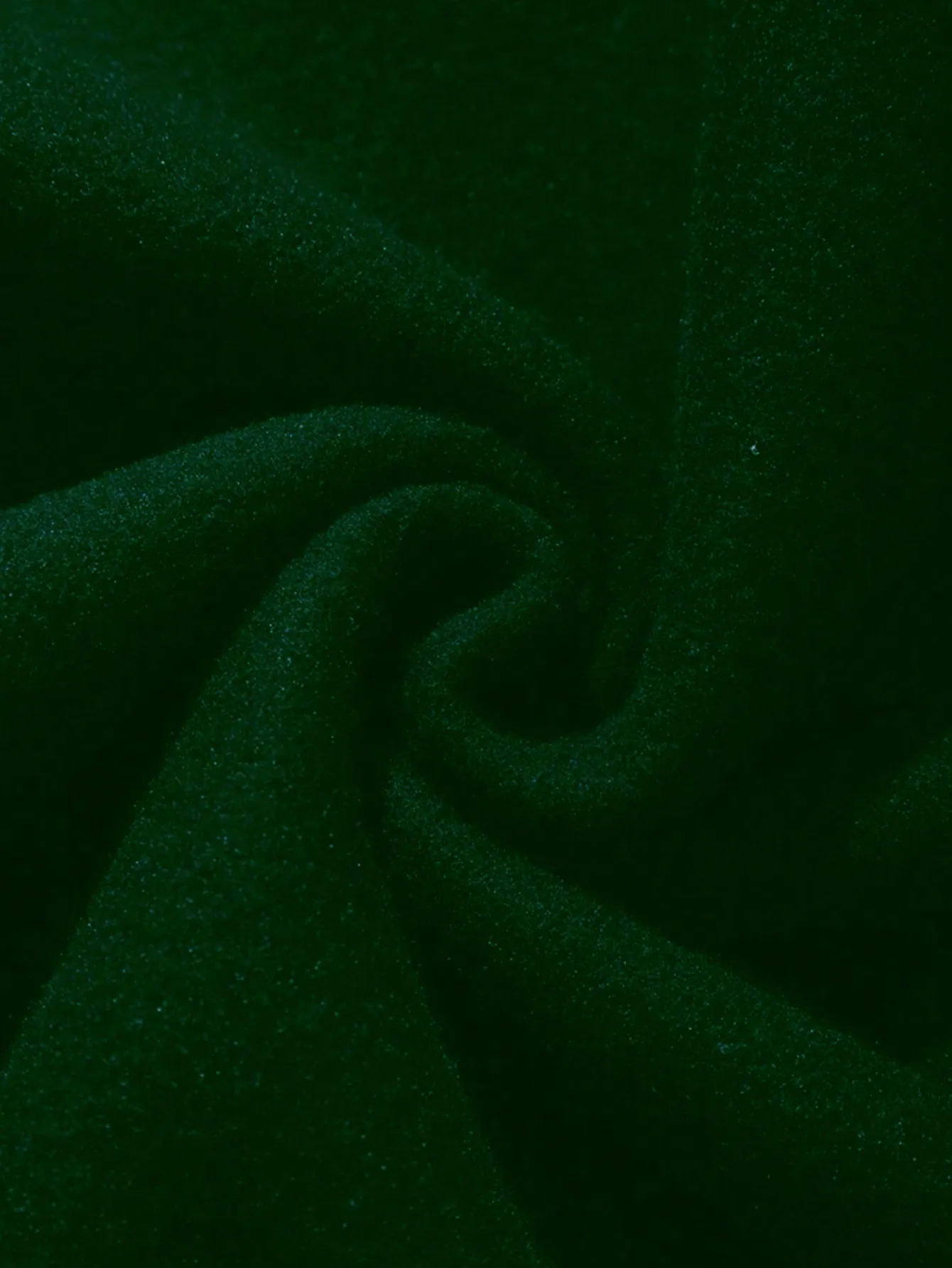 sz2310230619826786_04