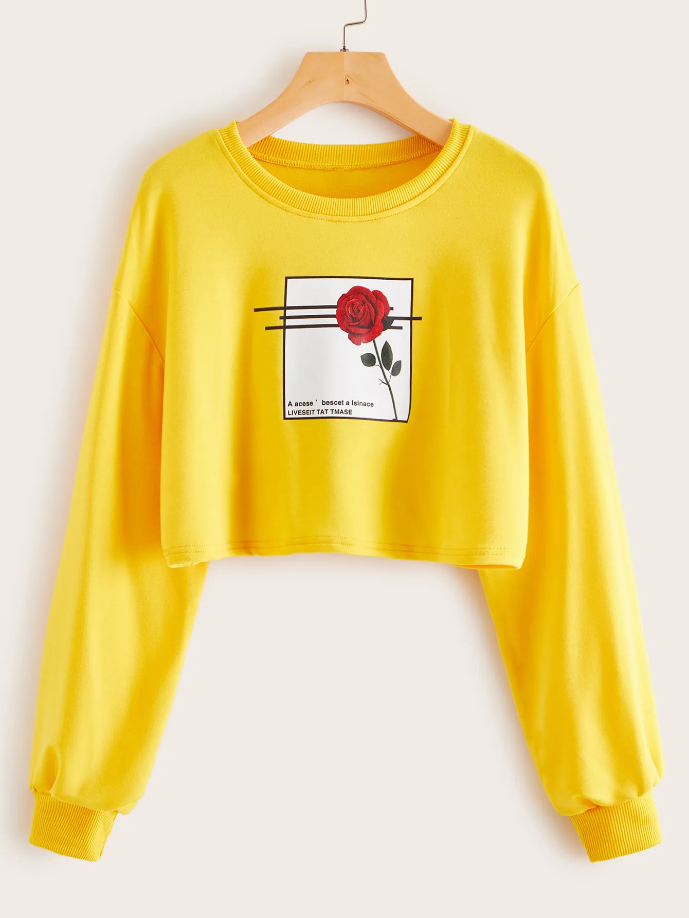 swsweatsh03190911422_01