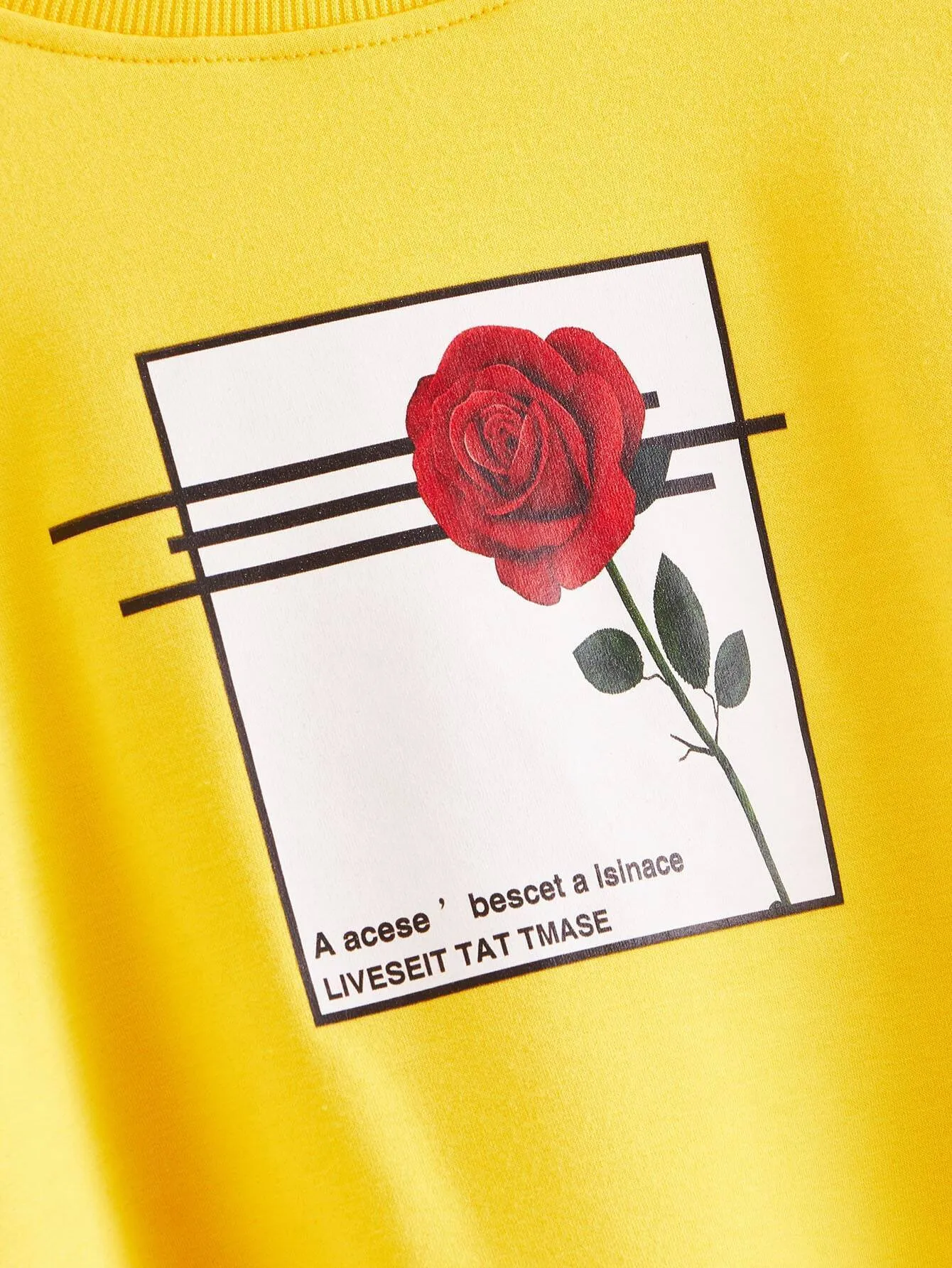 swsweatsh03190911422_02