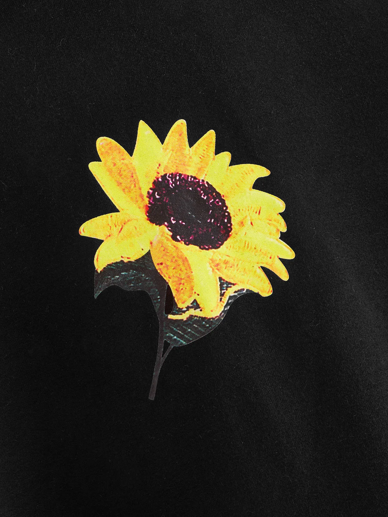 swsweatsh03190911578_02