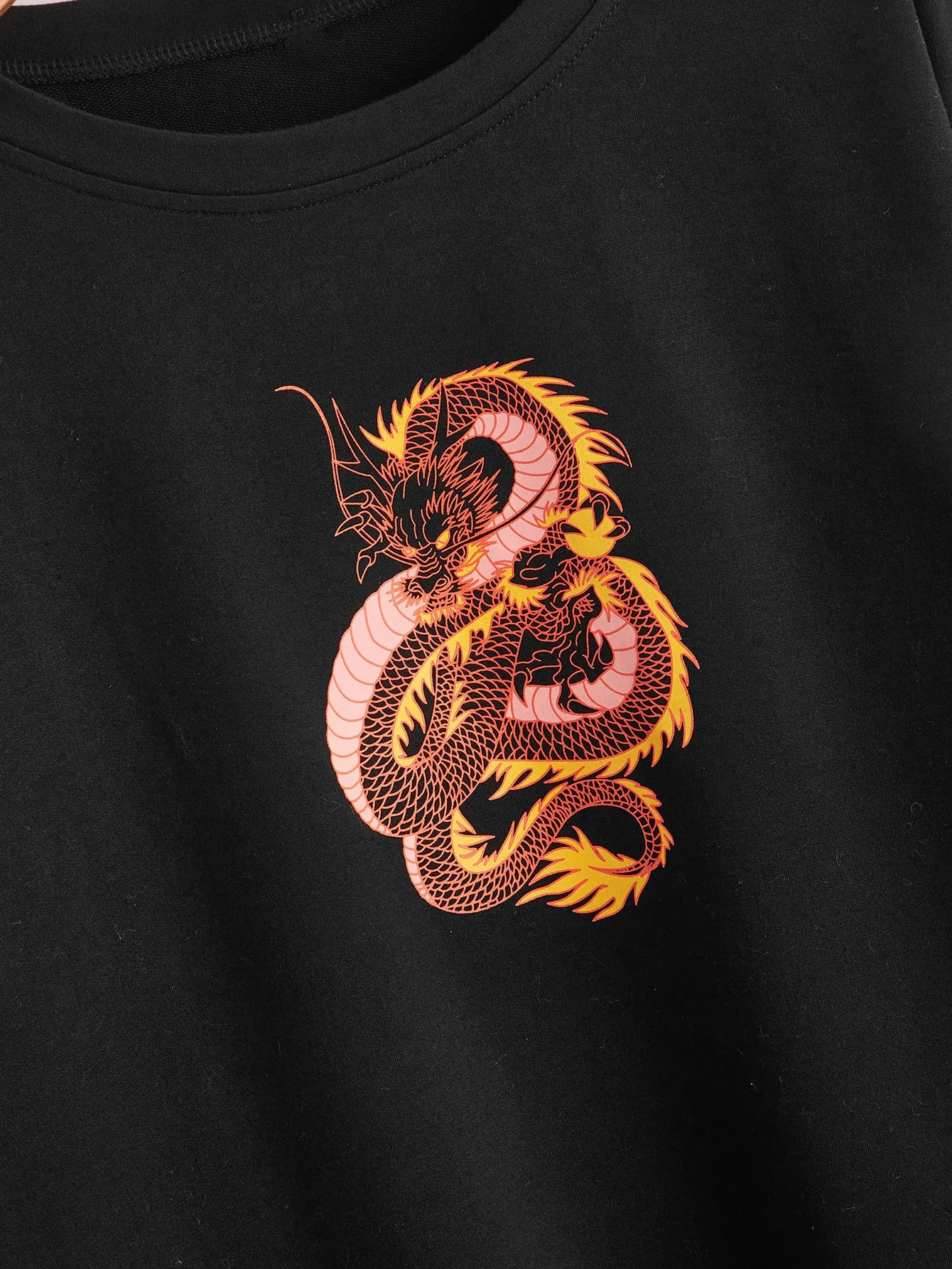 swsweatsh23200723042_02