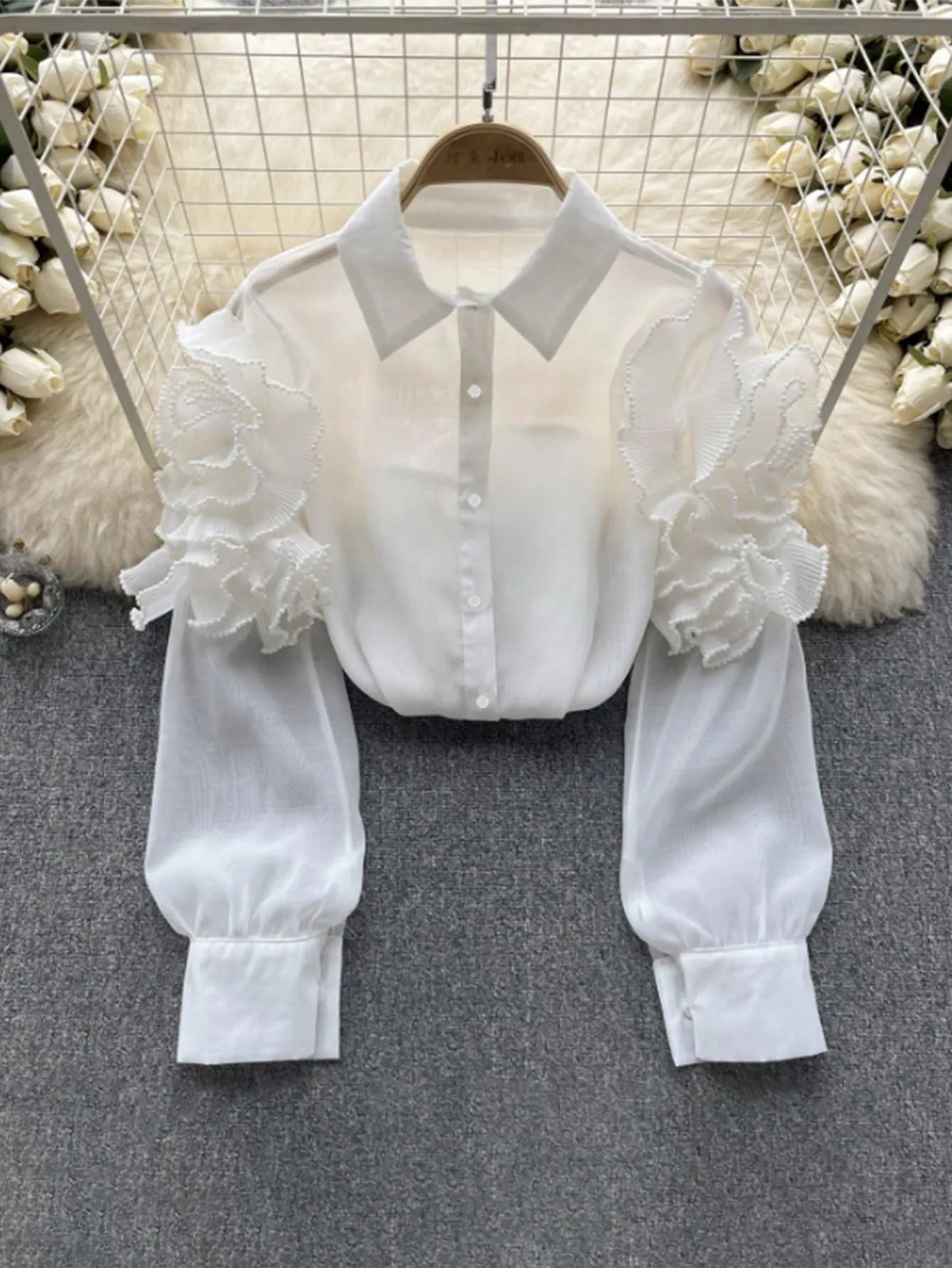 sz2410173363355131_00